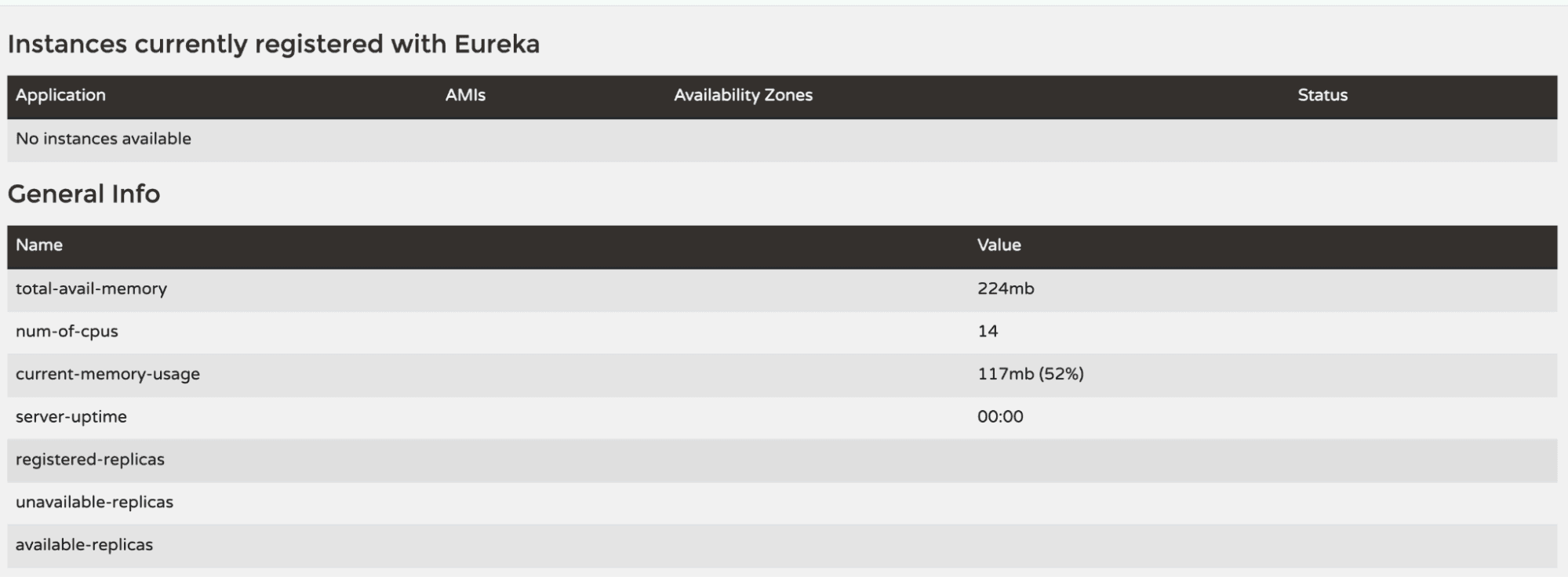 Start the Discovery Service