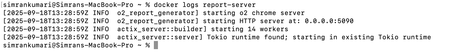 Report Server Logs