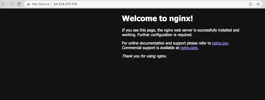 Nginx page