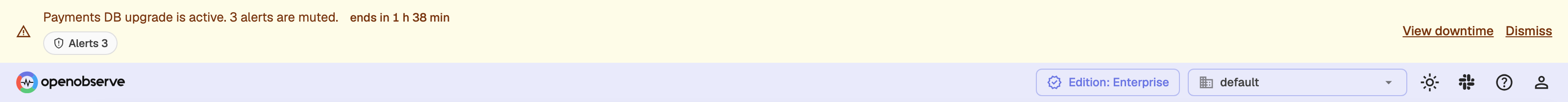 Organization-wide banner across the top of the app naming the active downtime, the number of muted alerts and the time left