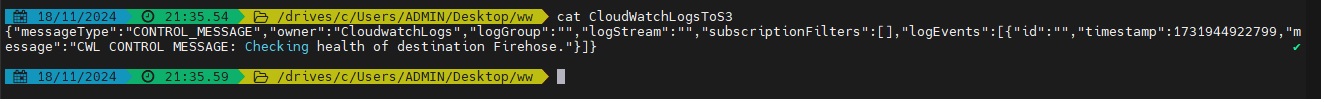 Extracted CloudWatch log file content showing log data