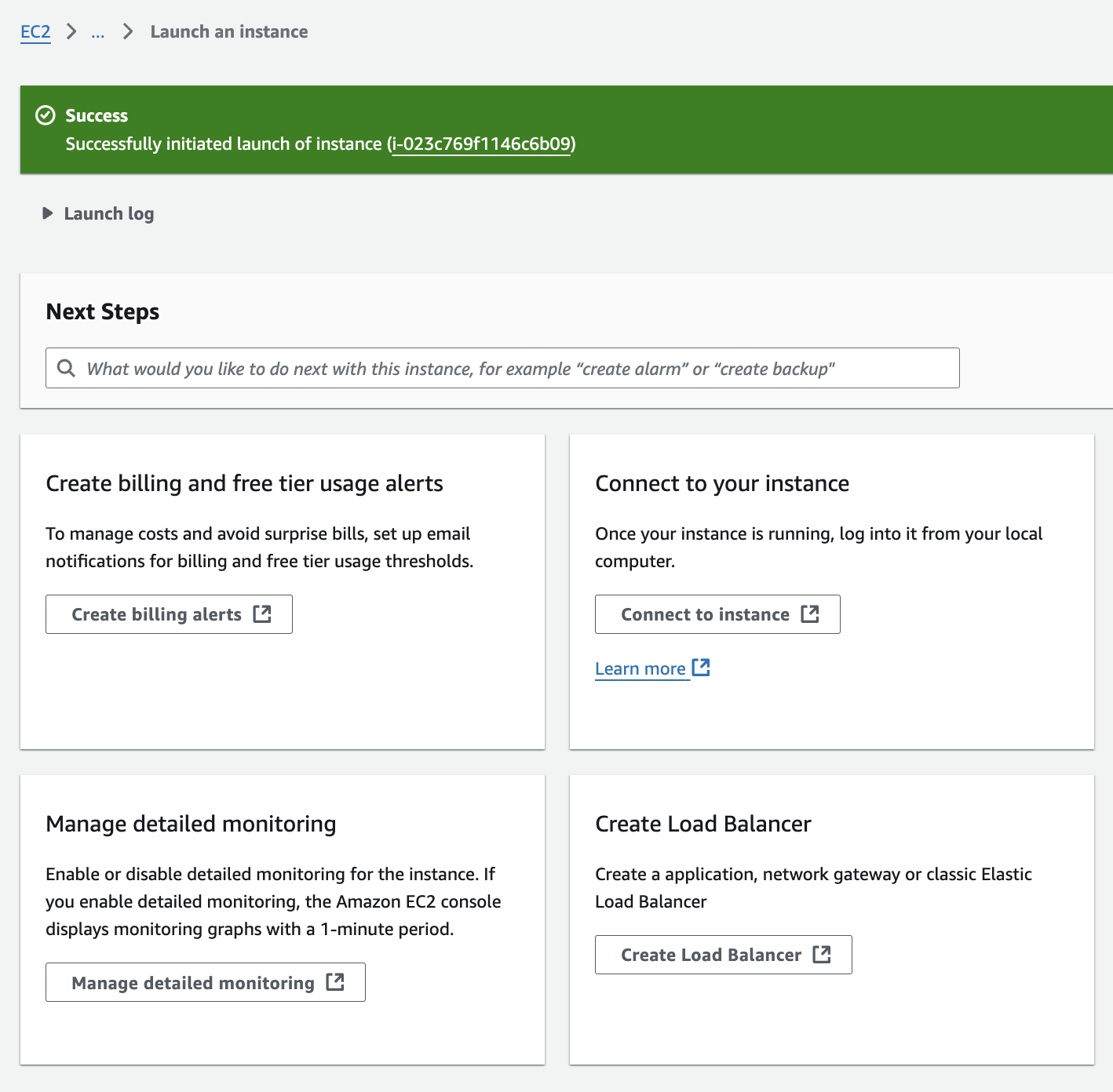 Success page after launching an AWS EC2 instance 