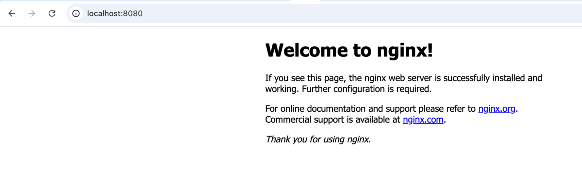 nginx home